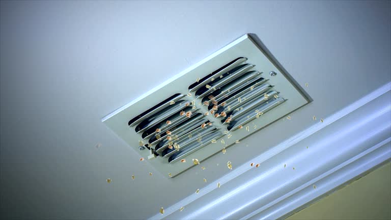 Best Best Air Duct Cleaning Company  in Plano, KY