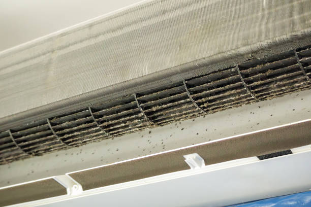 Best HVAC Air Duct Cleaning  in Plano, KY